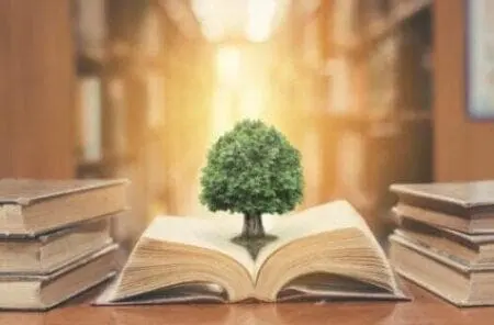 Environmental responsibility law – financial guarantee
